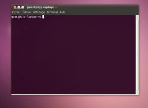 terminal_00_lucid