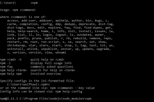 npm